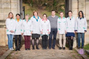 Photographe Versailles Yvelines
